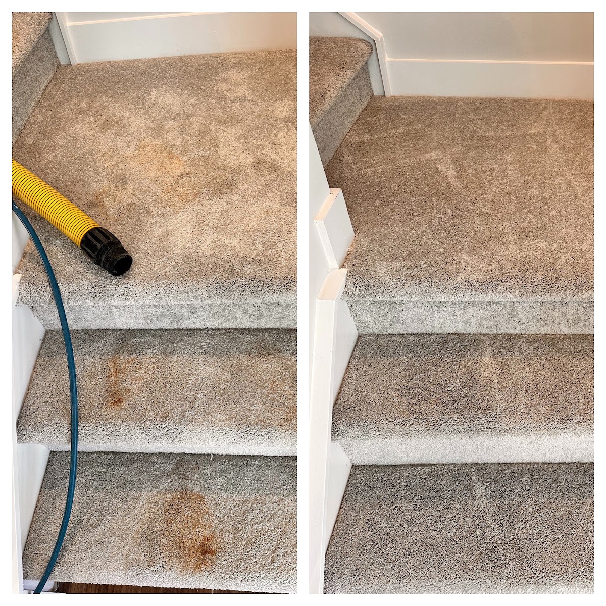 Before and after deep cleaning of heavily soiled carpeted stairs