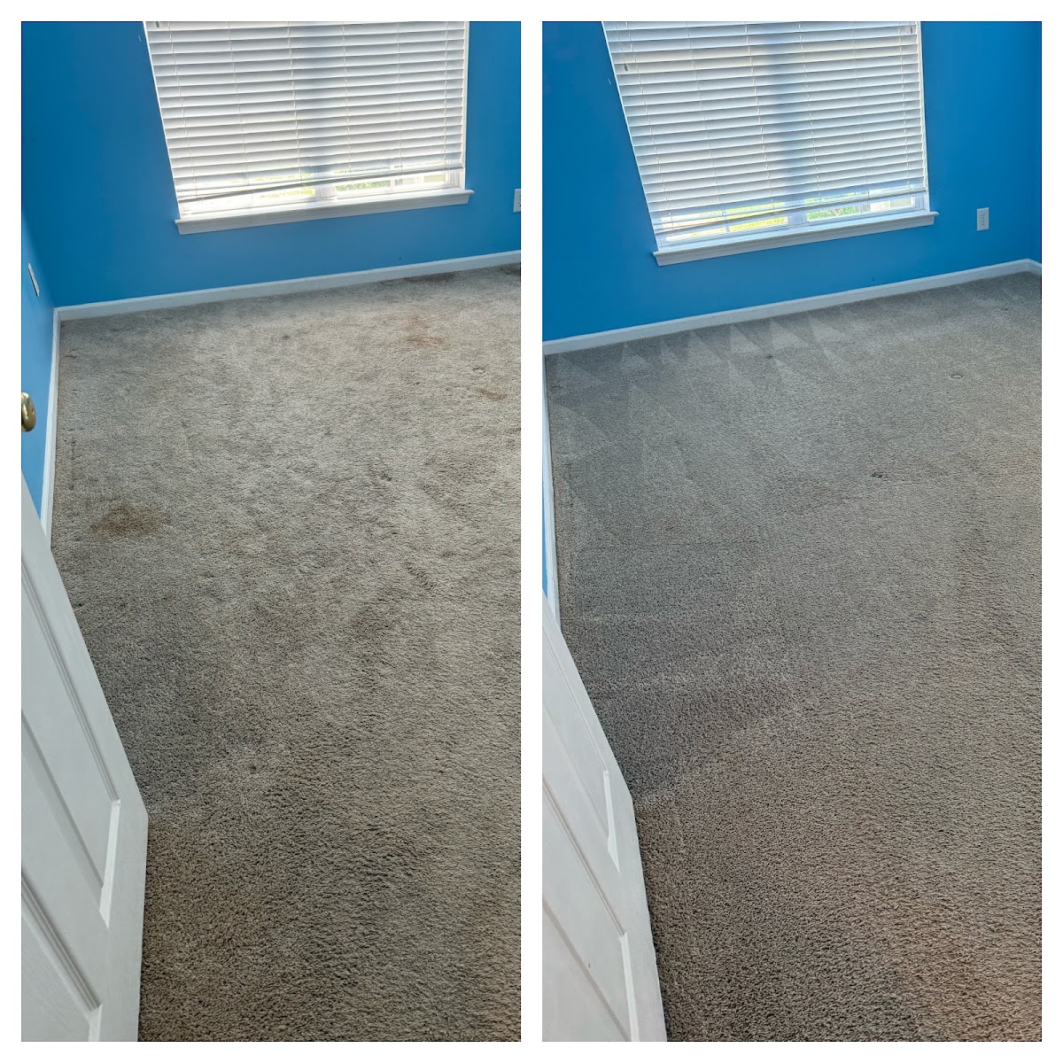 Before and after carpet cleaning in a Carolinas bedroom