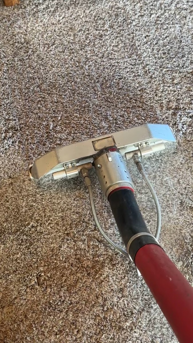 Carpet Cleaning